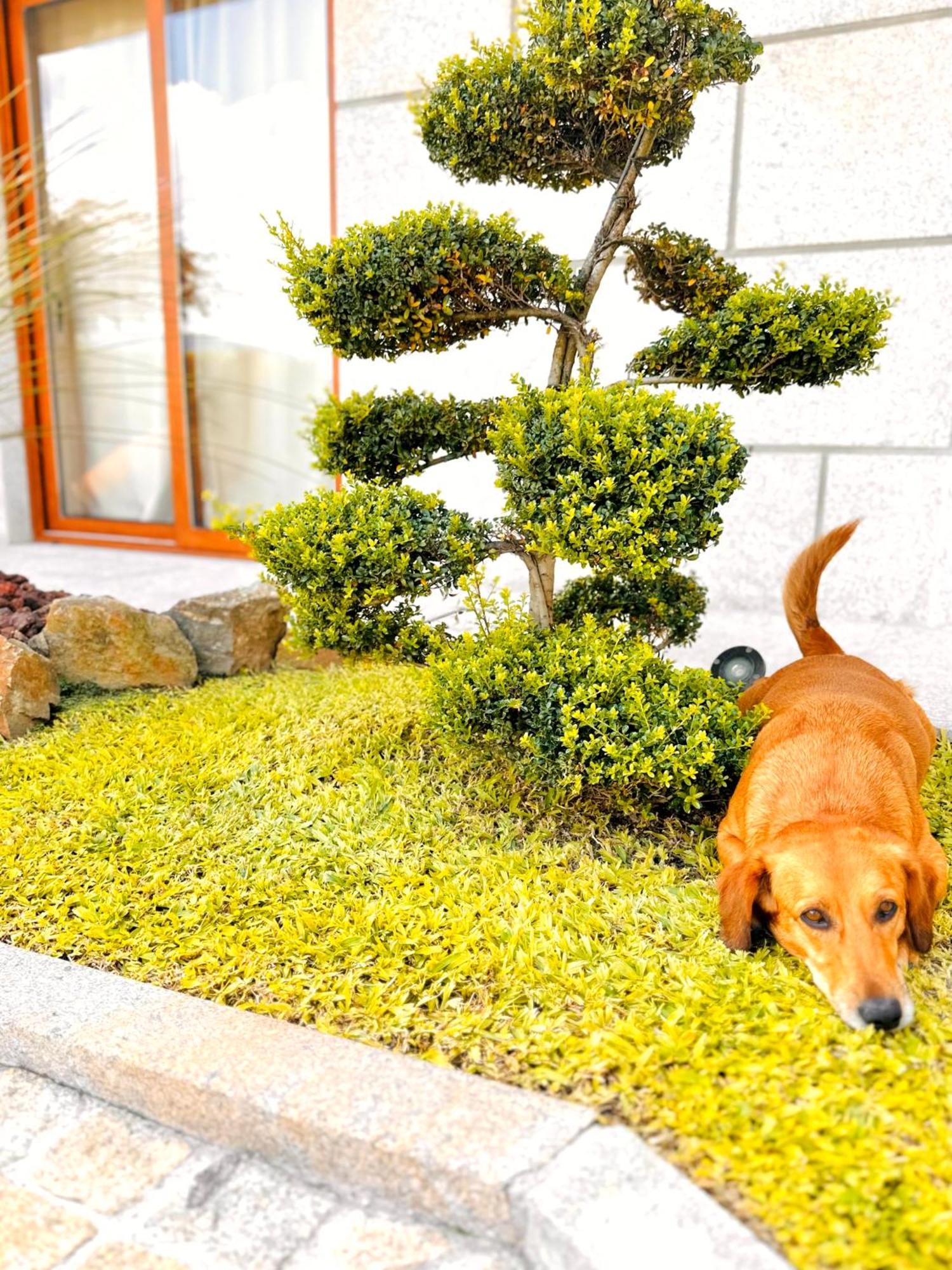 아르코스 데 발데베즈 Casa Da Touca 빌라 외부 사진
